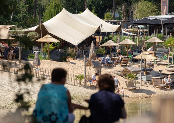 natuur bergse heide water meer boom bomen zand strand zomer de berk picknick