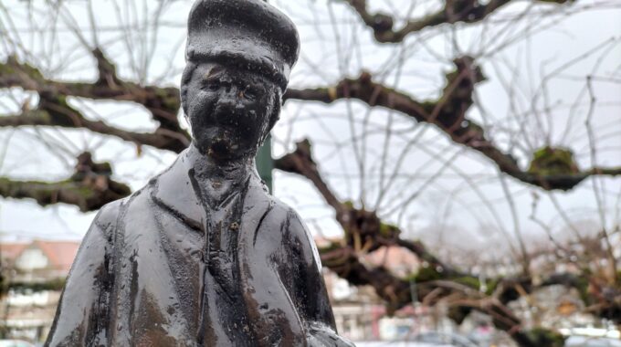 weverskat bergen op zoom toeteroet