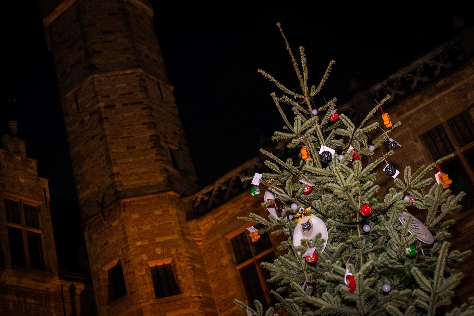 Gezocht: de allermooiste kerstboom van Bergen op Zoom