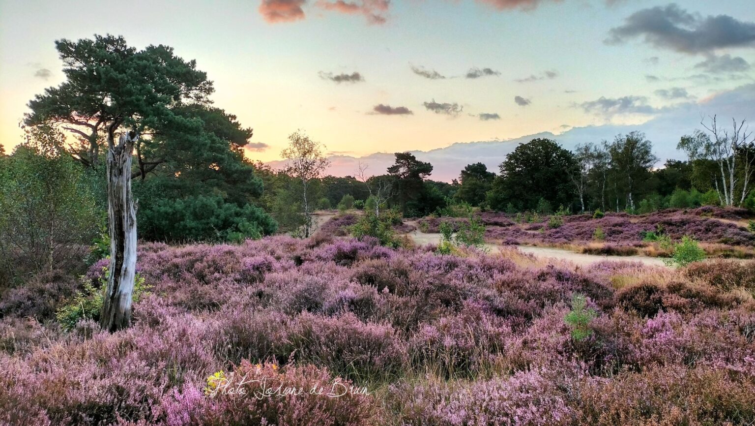 De Bergse favorieten van Cynthia 'Ik ben superblij met dit nieuwe