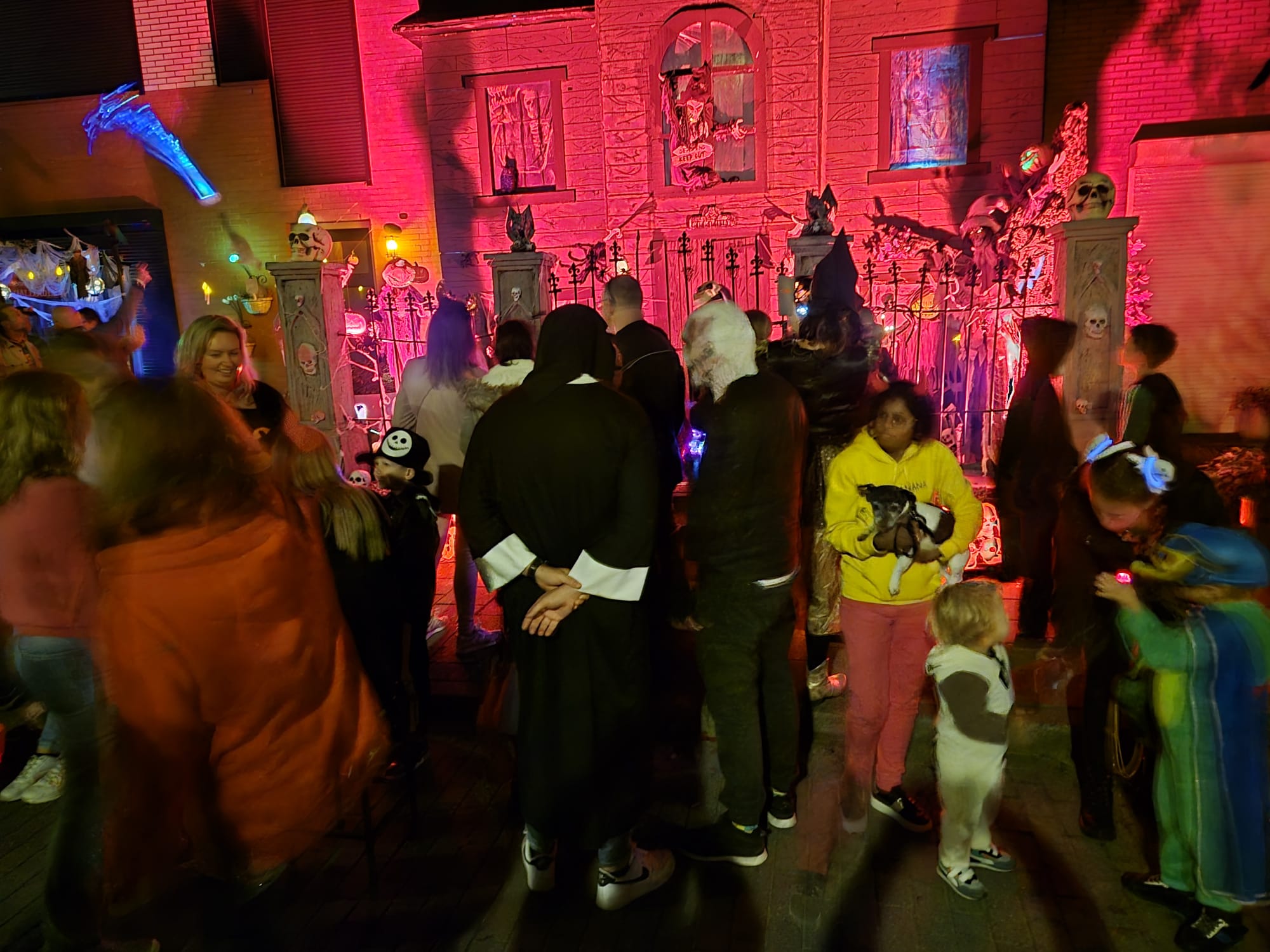 Weekendtips: deze dingen doe je in Bergen op Zoom (31 oktober – 2 november)