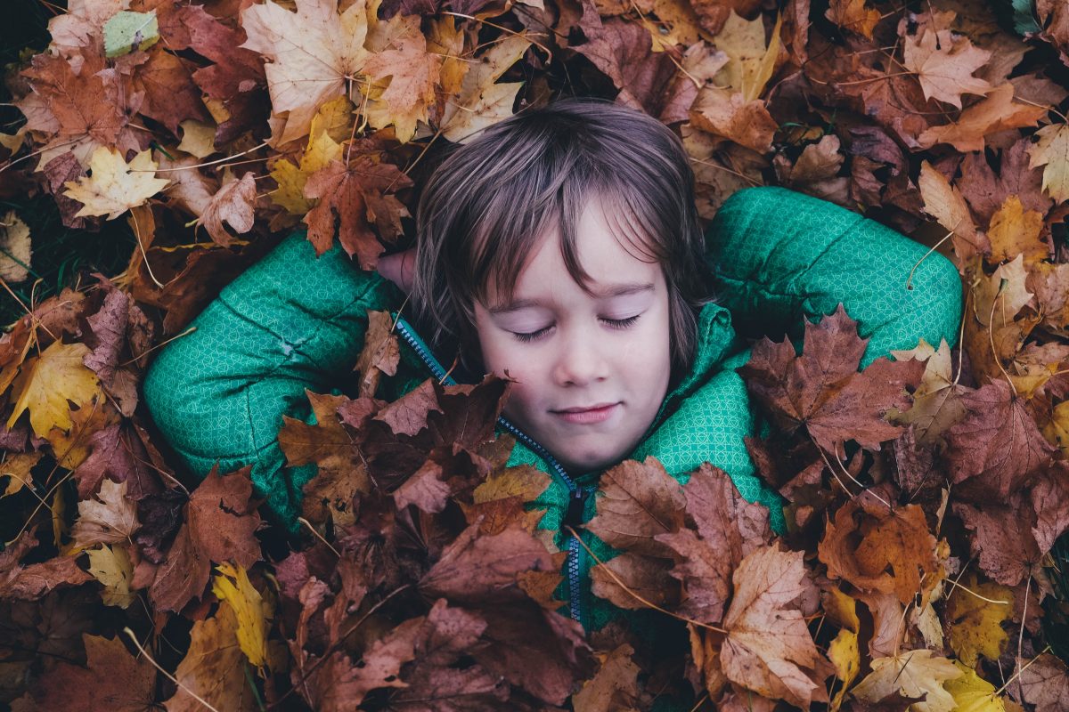 Herfstvakantie Breda