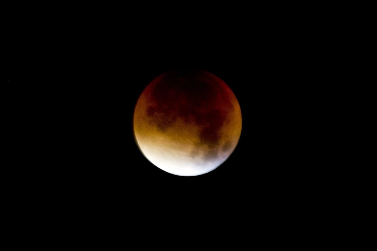 bloedmaan