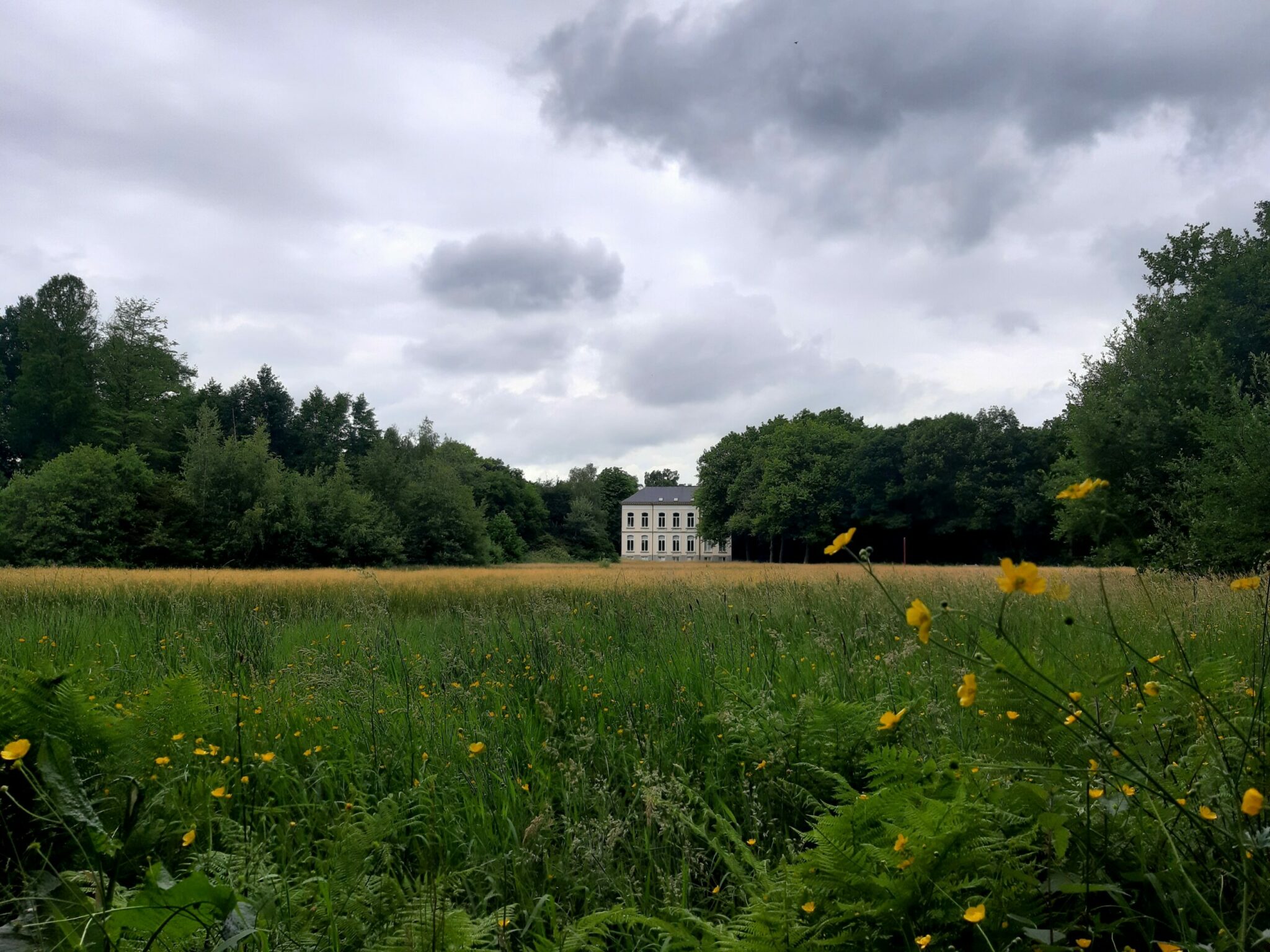 landgoed wolfslaar breda