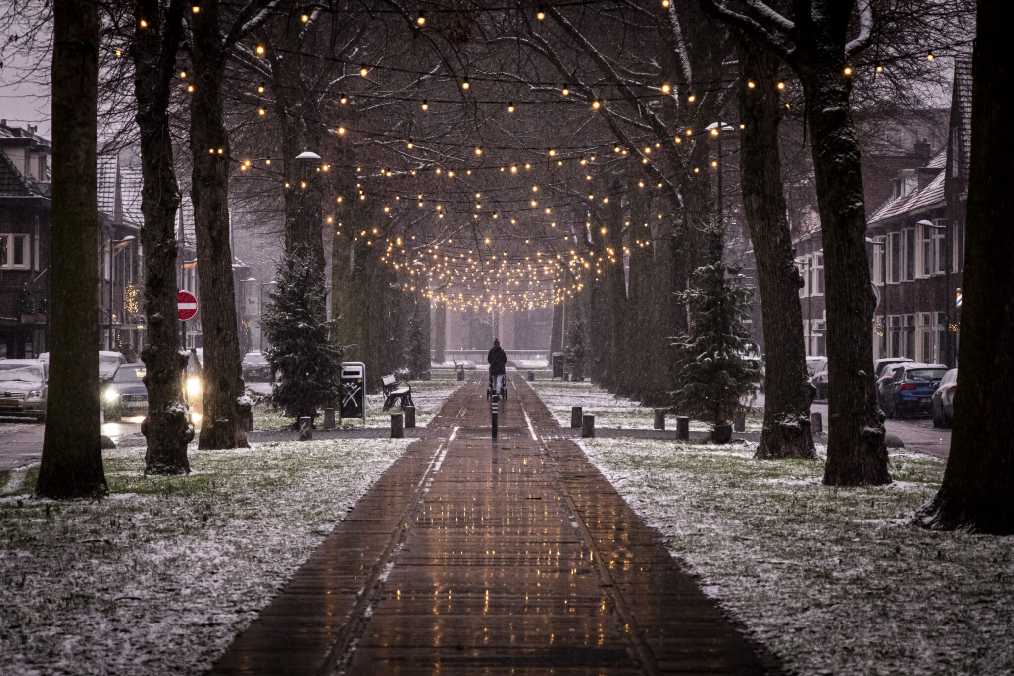 sneeuw speelhuislaan winter