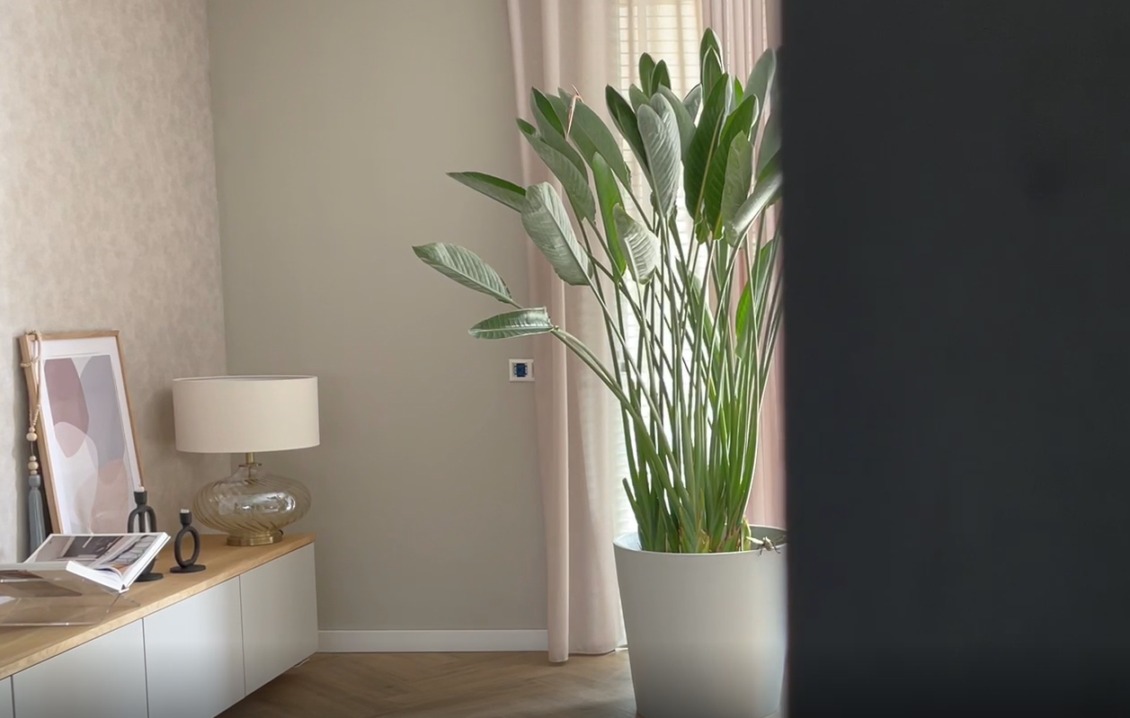 sneak peek binnenkijken bij wendy