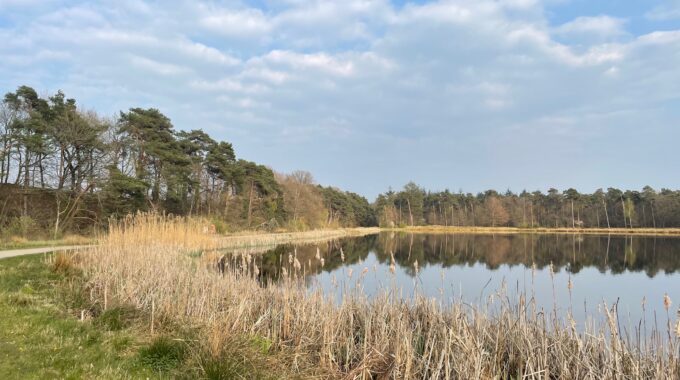 mastbos breda