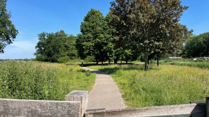 park hoge vucht