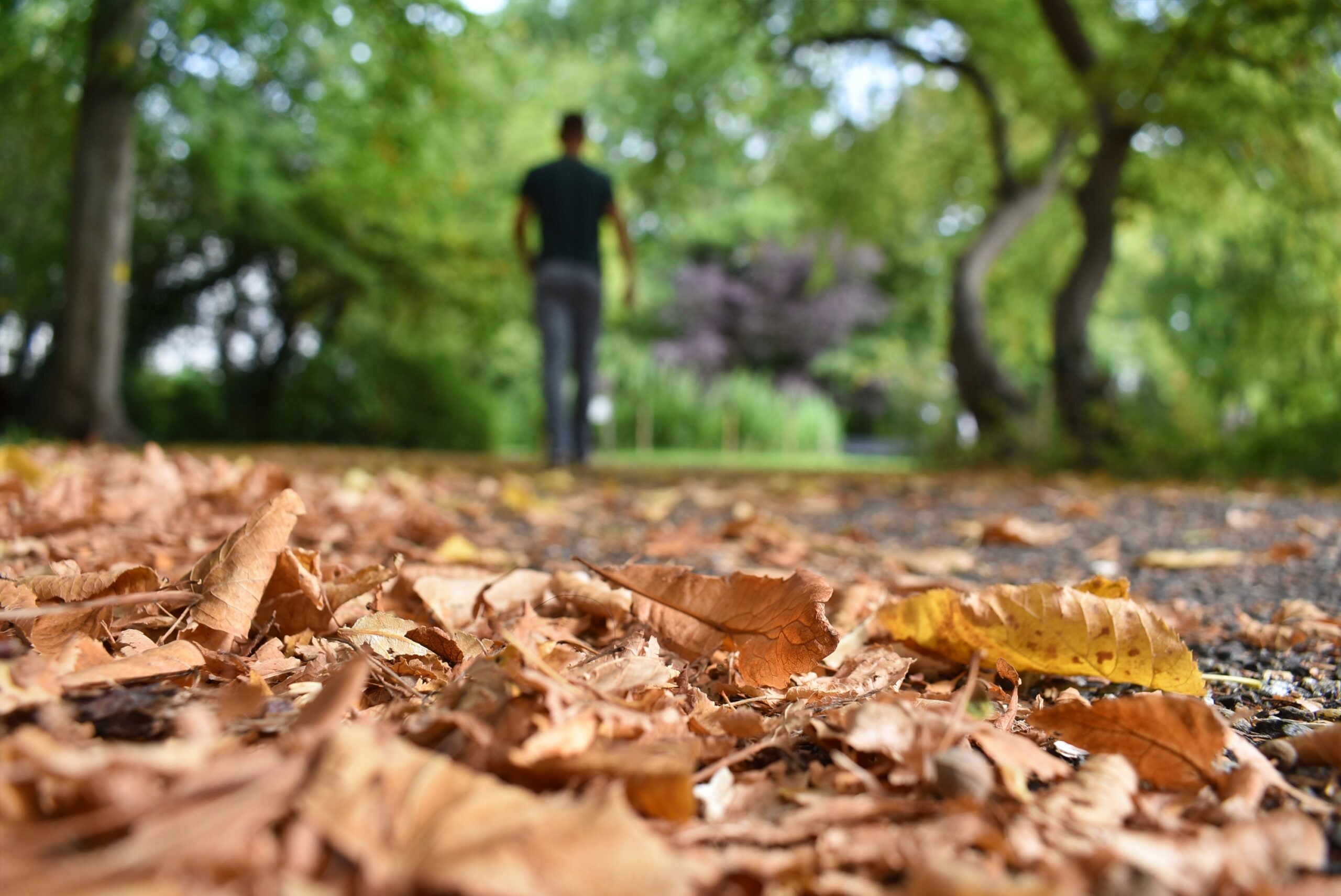Het weer tijdens de herfstvakantie in Breda: “Elke dag zonneschijn verwacht”