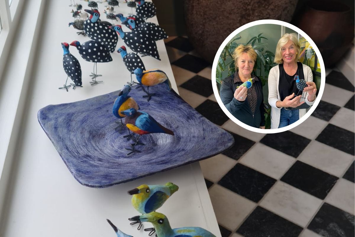 Al gespot? Dit is waarom de vensterbank van Agnes uit Breda vol staat met vogeltjes uit Afrika