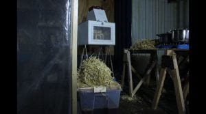 Schimmelstoel in wording.