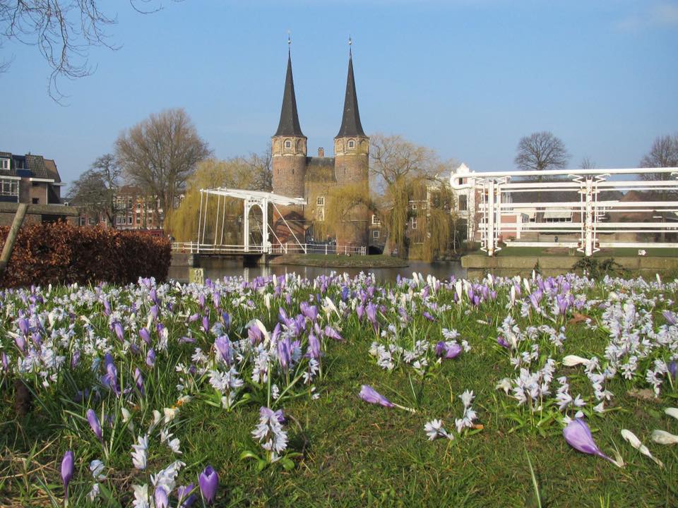 Natuurfoto's Marianne Bodde - van Hagen