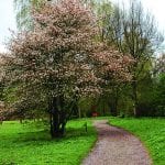 Arboretum Heempark Delftse Hout (3)