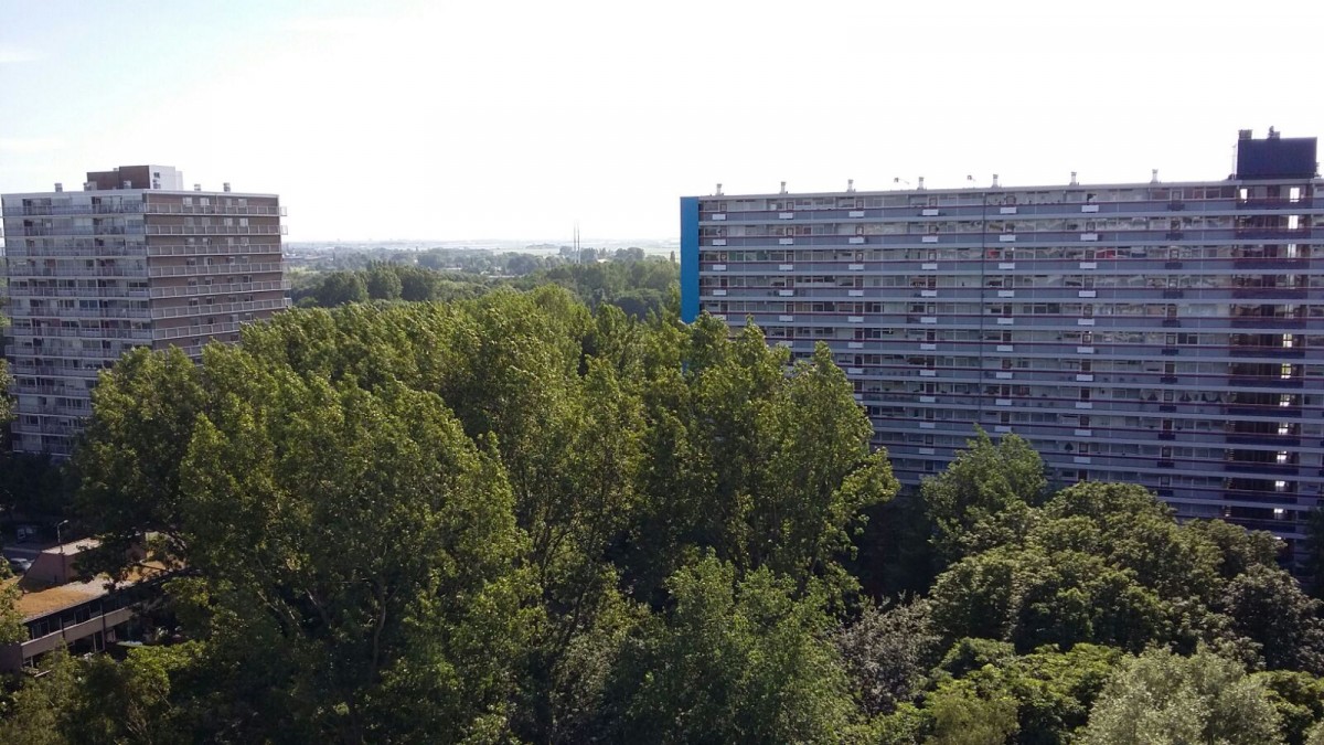Buitenhof Delft huurwoning
