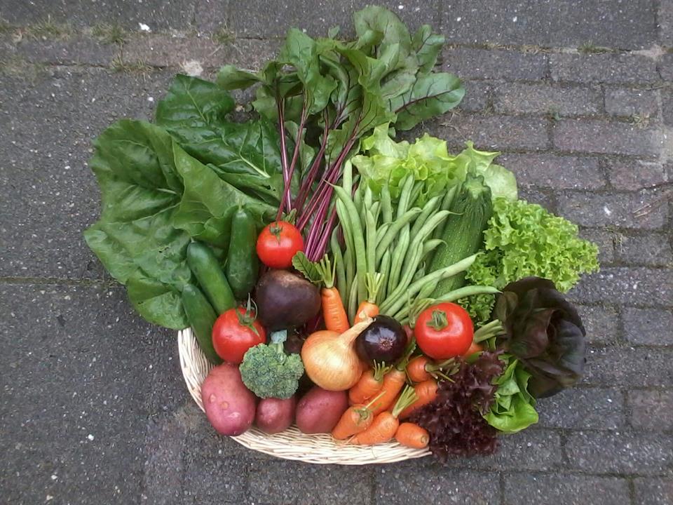 food-festival-delft