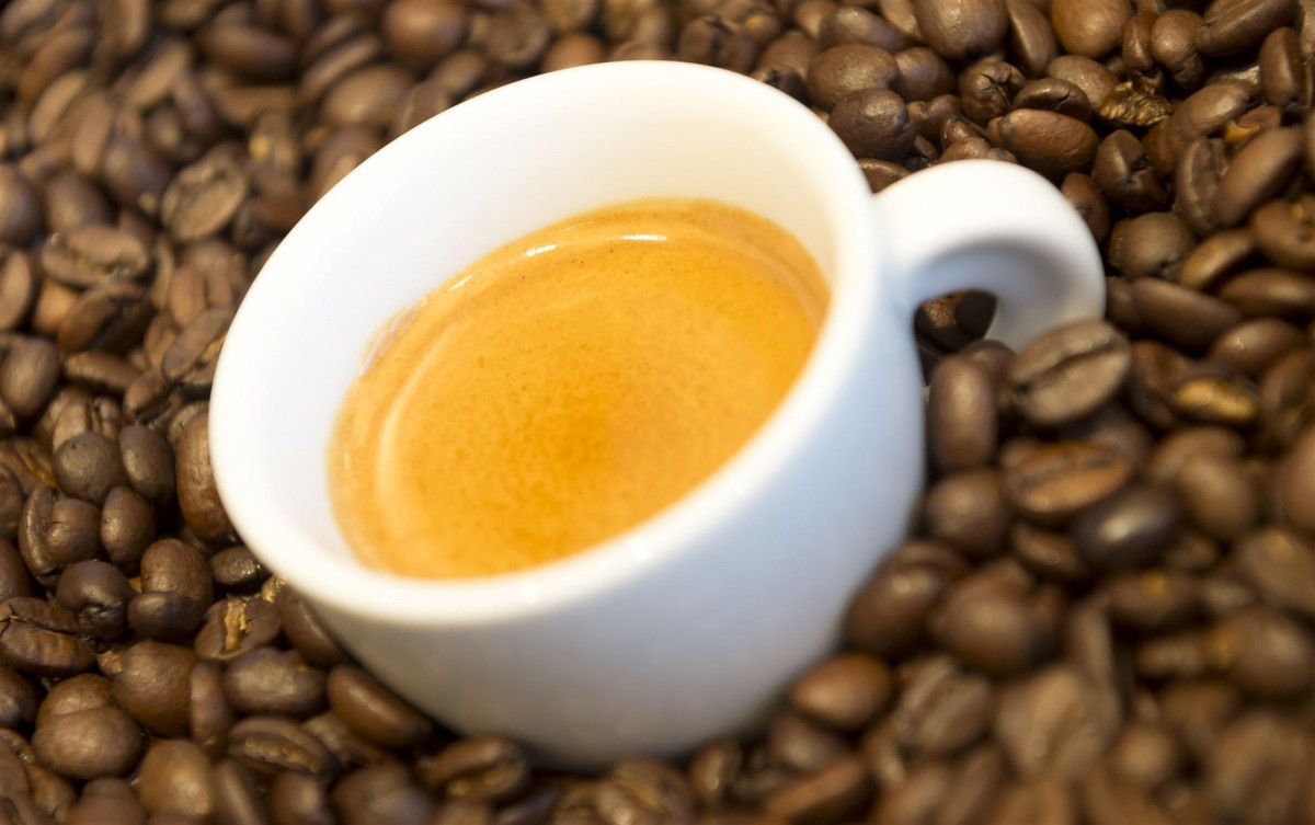 koffie coffee festival delft