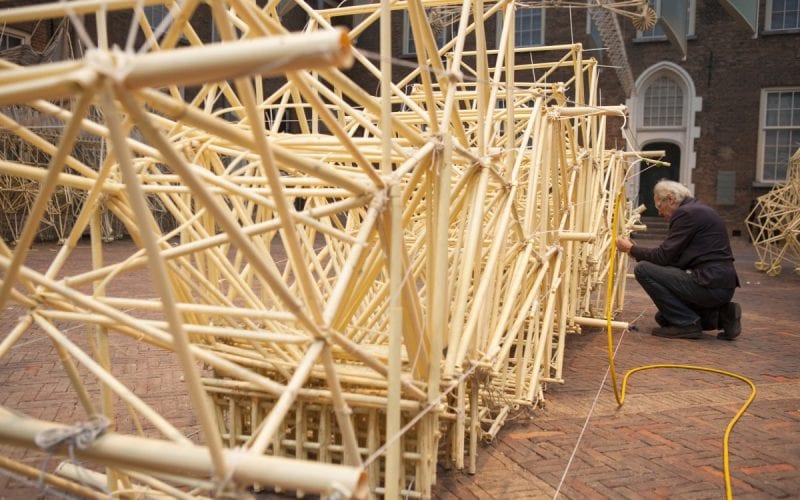 theo-jansen-strandbeesten-marco-zwinkels-4