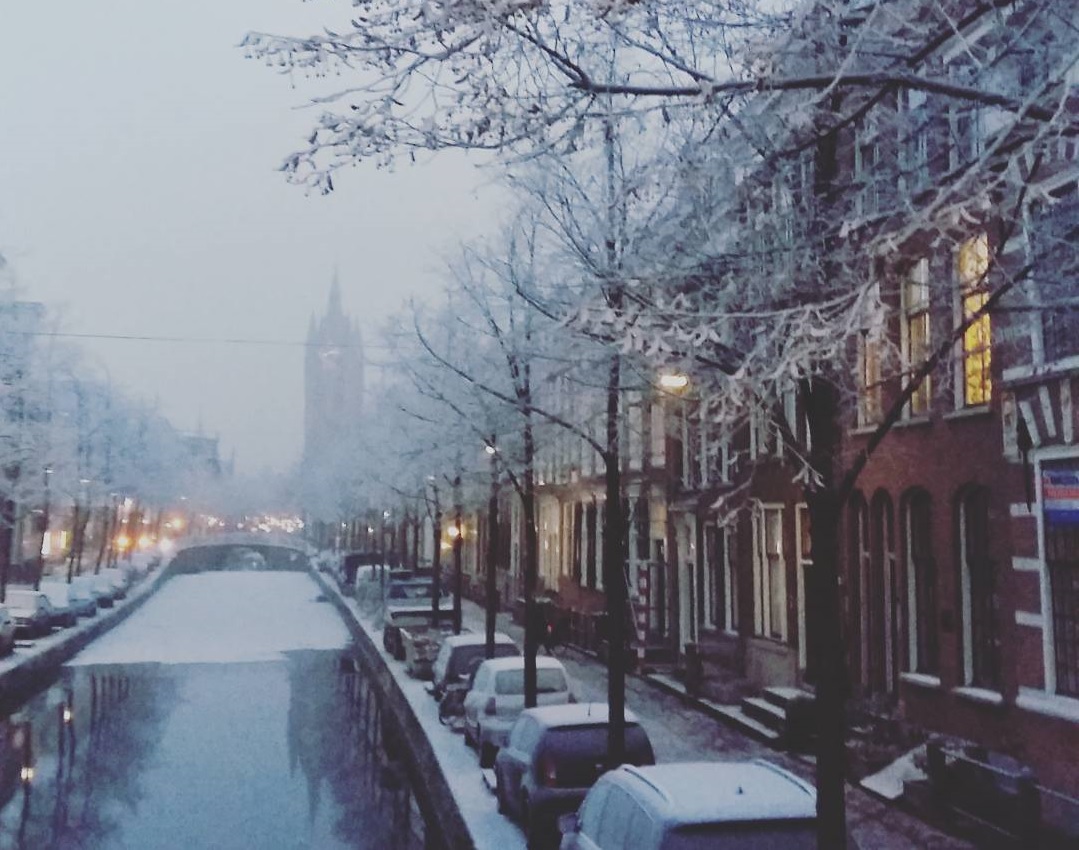rijp in delft winter