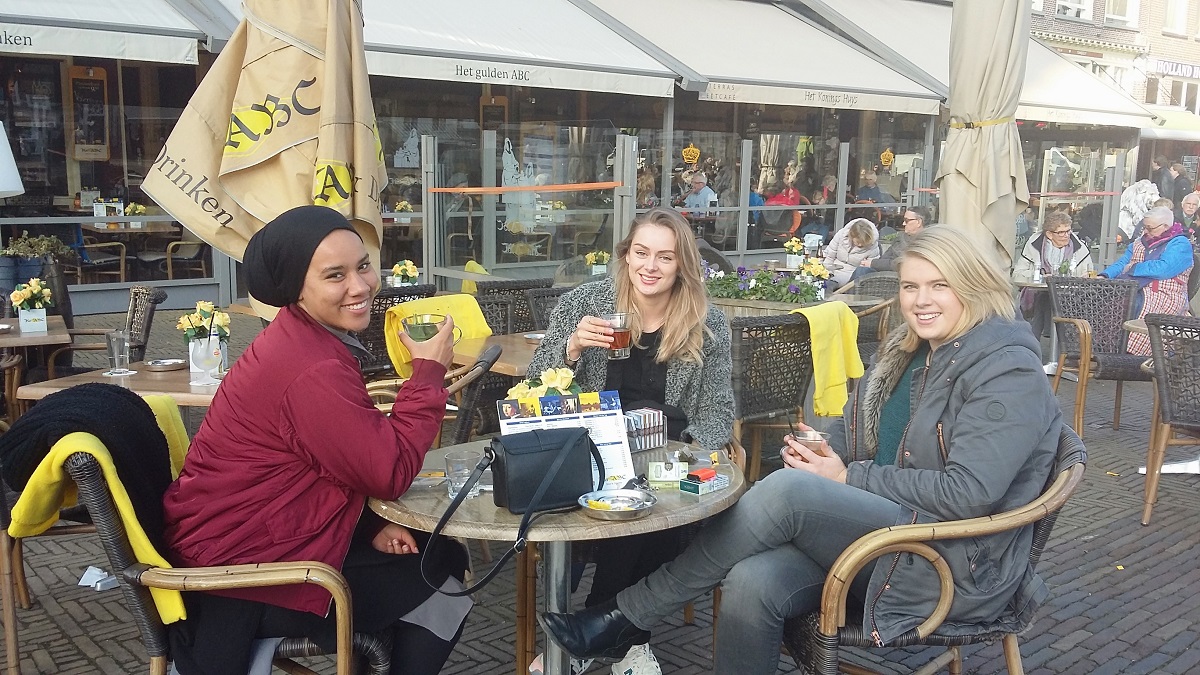 terras delft