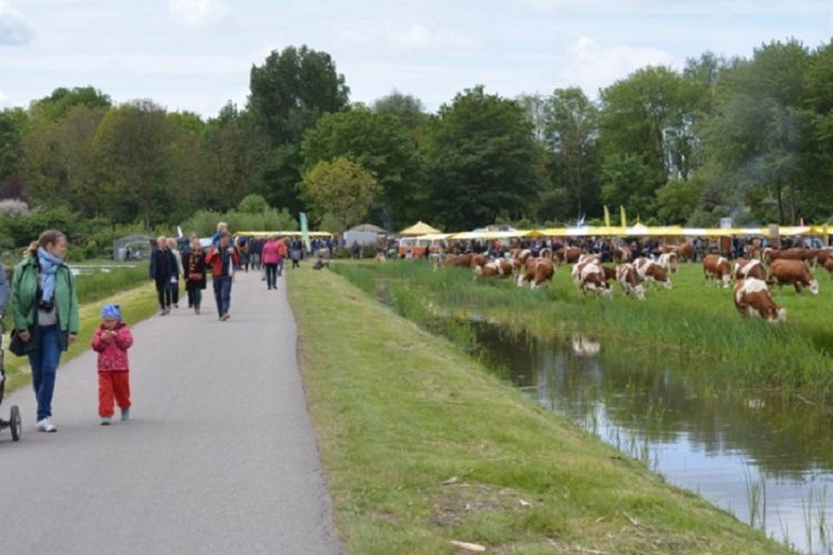 foodfeest
