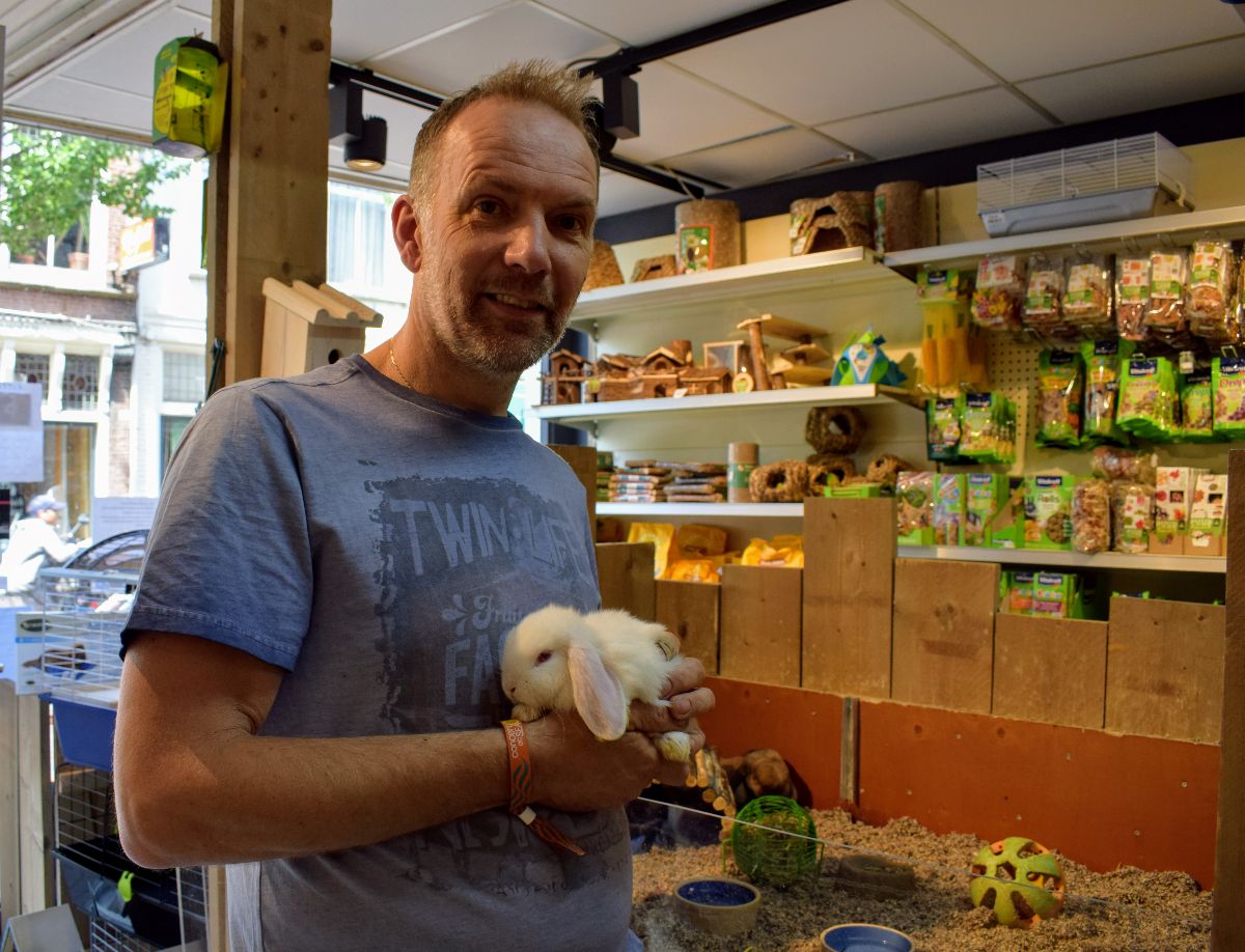 pet needs delft
