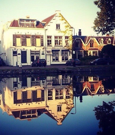 delft pottery de delftse pauw