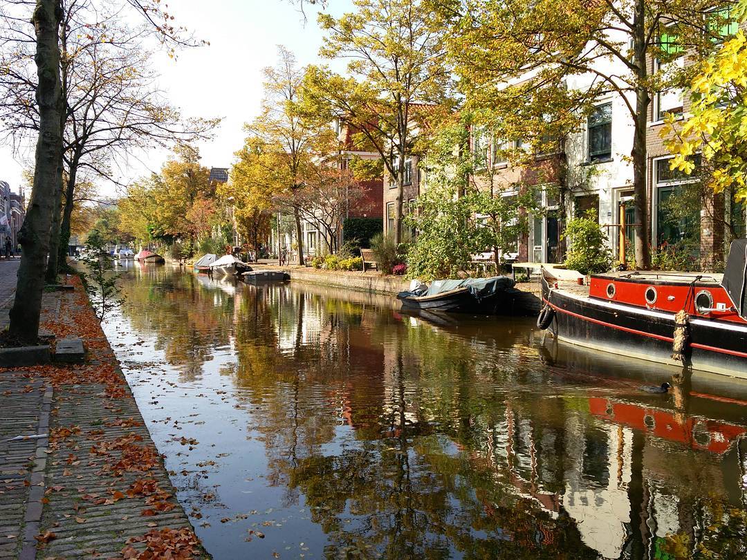 herfst in delft buitenwatersloot