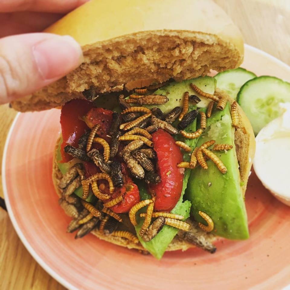 bugs bagel