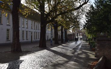agathaplein
