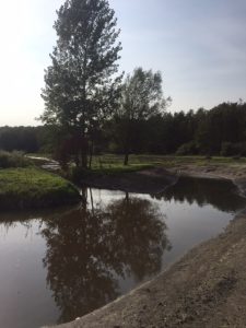 stiltebos delft