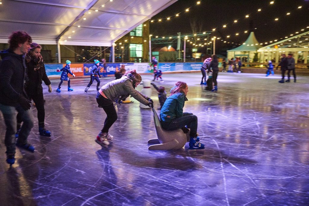 winters delft