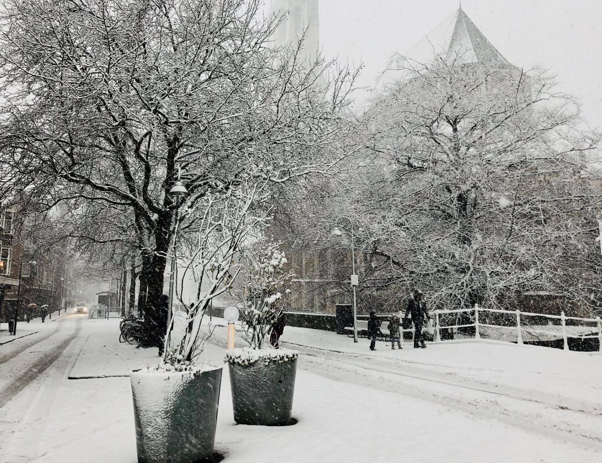 sneeuw in delft