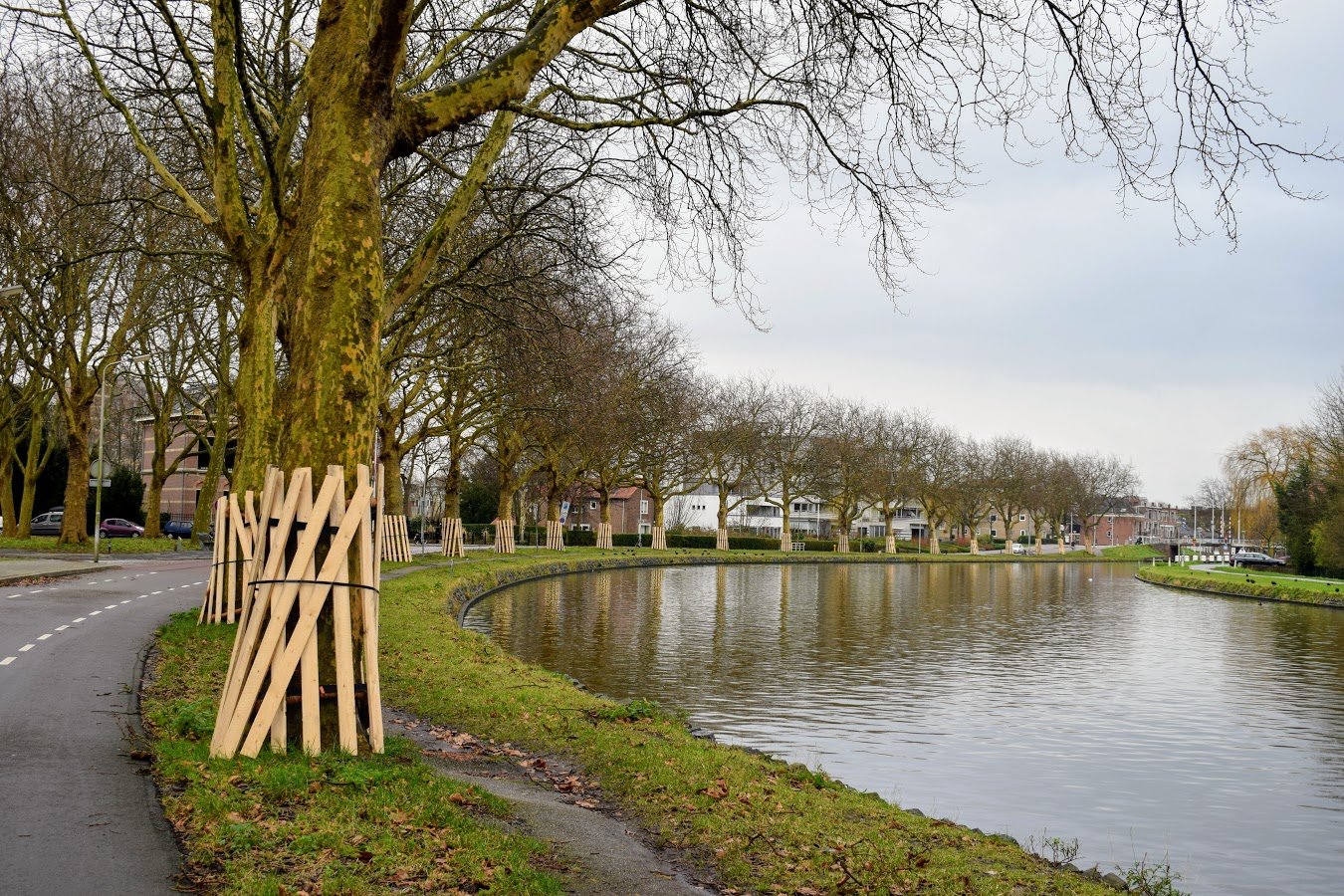 houten latjes oostsingel