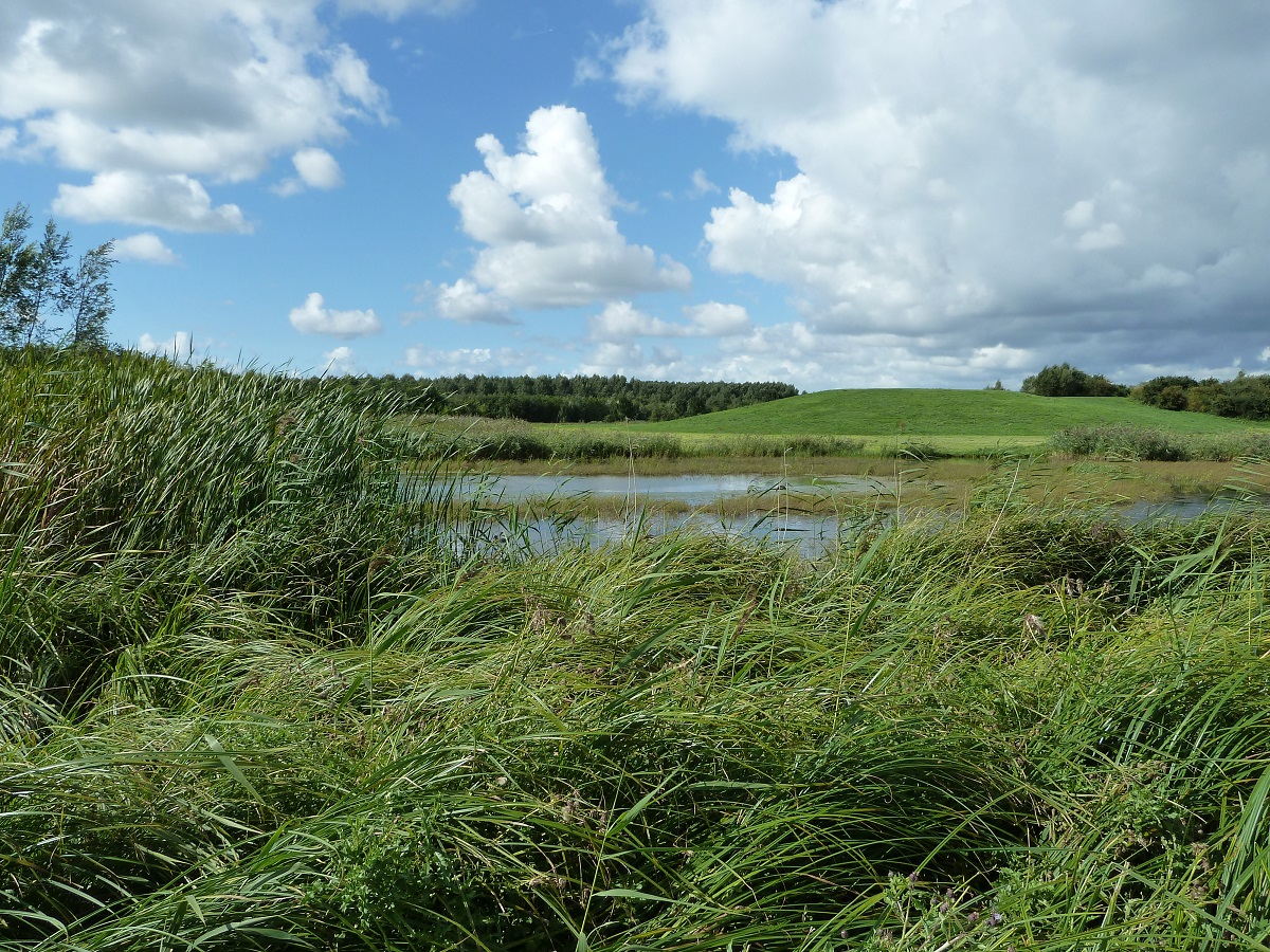 Abtswoudse Bos