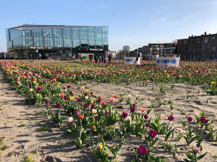 tulpen station