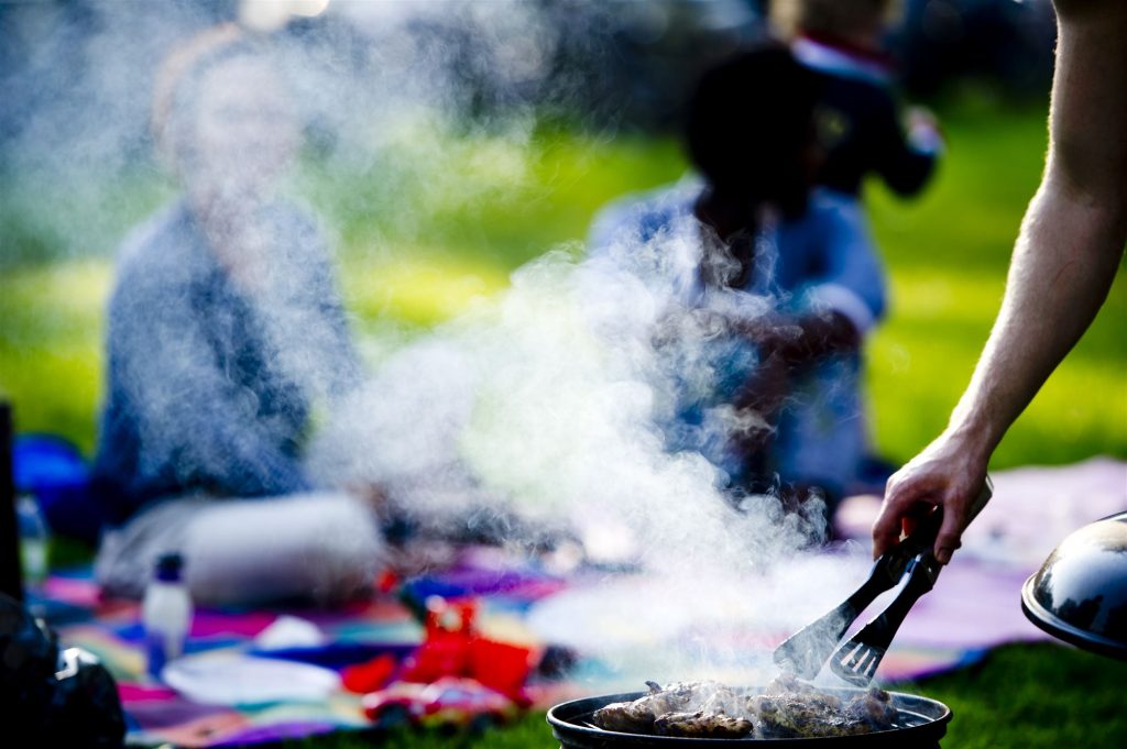 MAG DAT barbecueën in de parken van Delft? indebuurt Delft