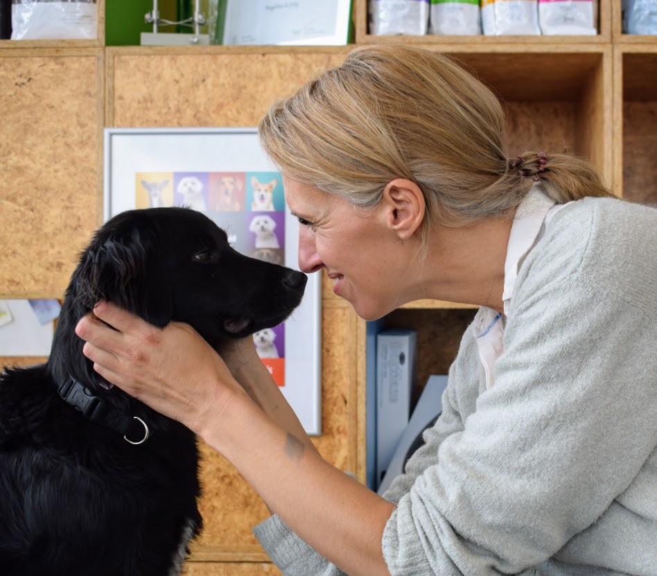 dierenkliniek animalis