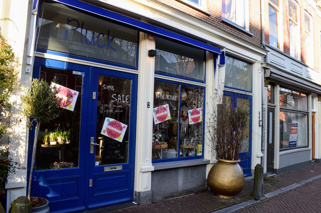 pluck delft