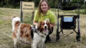 dierenbuddy dierenbescherming Delft