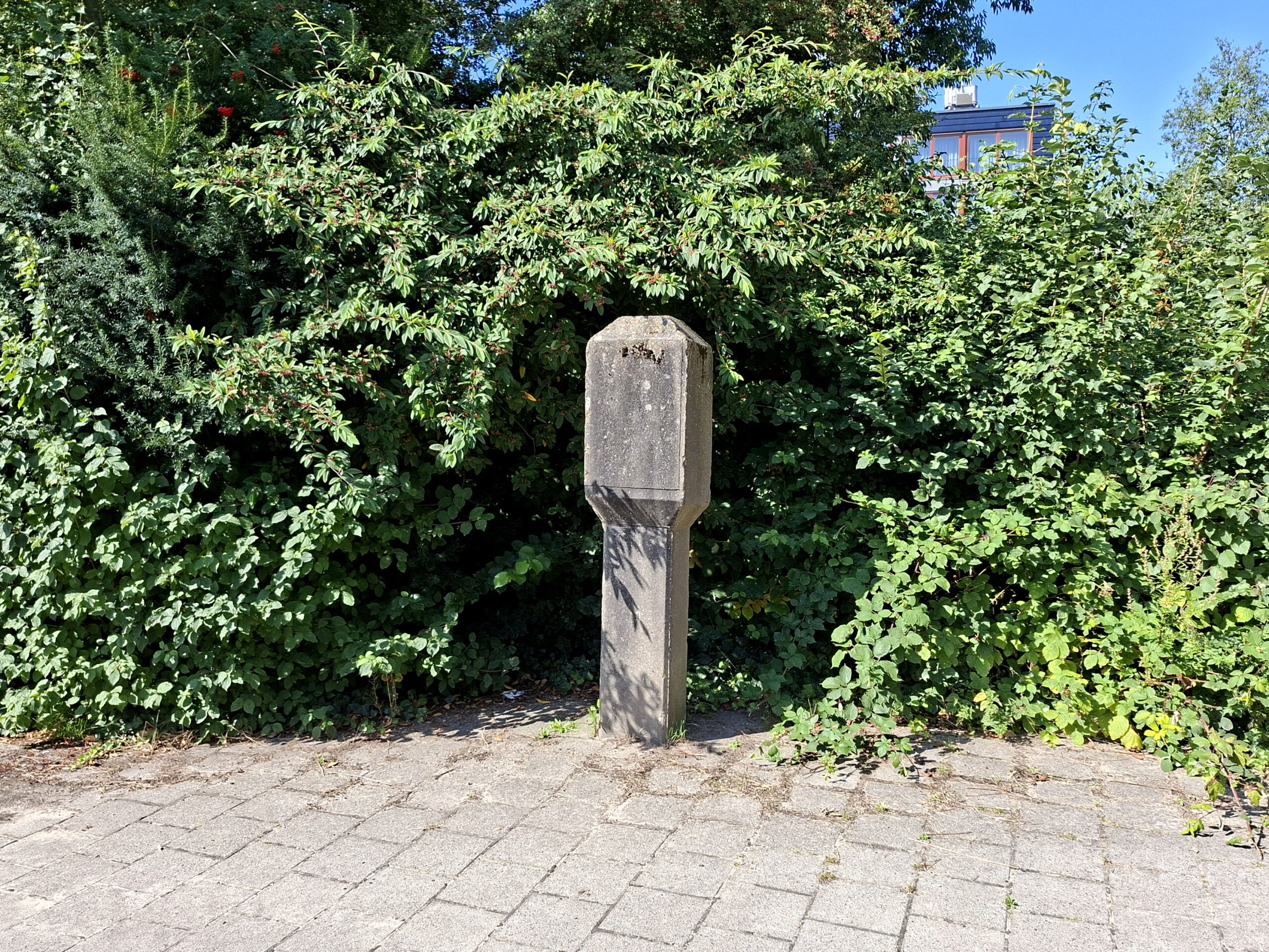Nutteloos of niet? Daarom staat er een betonnen paal aan de Herculesweg