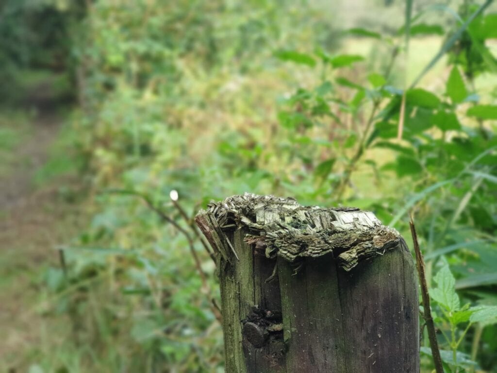 Hittegolf In Den Bosch 5 X Tips Voor De Indian Summer