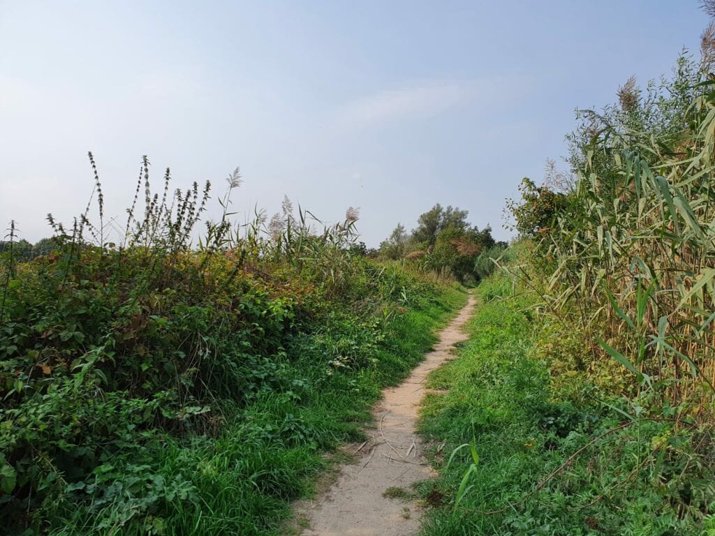 Hittegolf In Den Bosch 5 X Tips Voor De Indian Summer