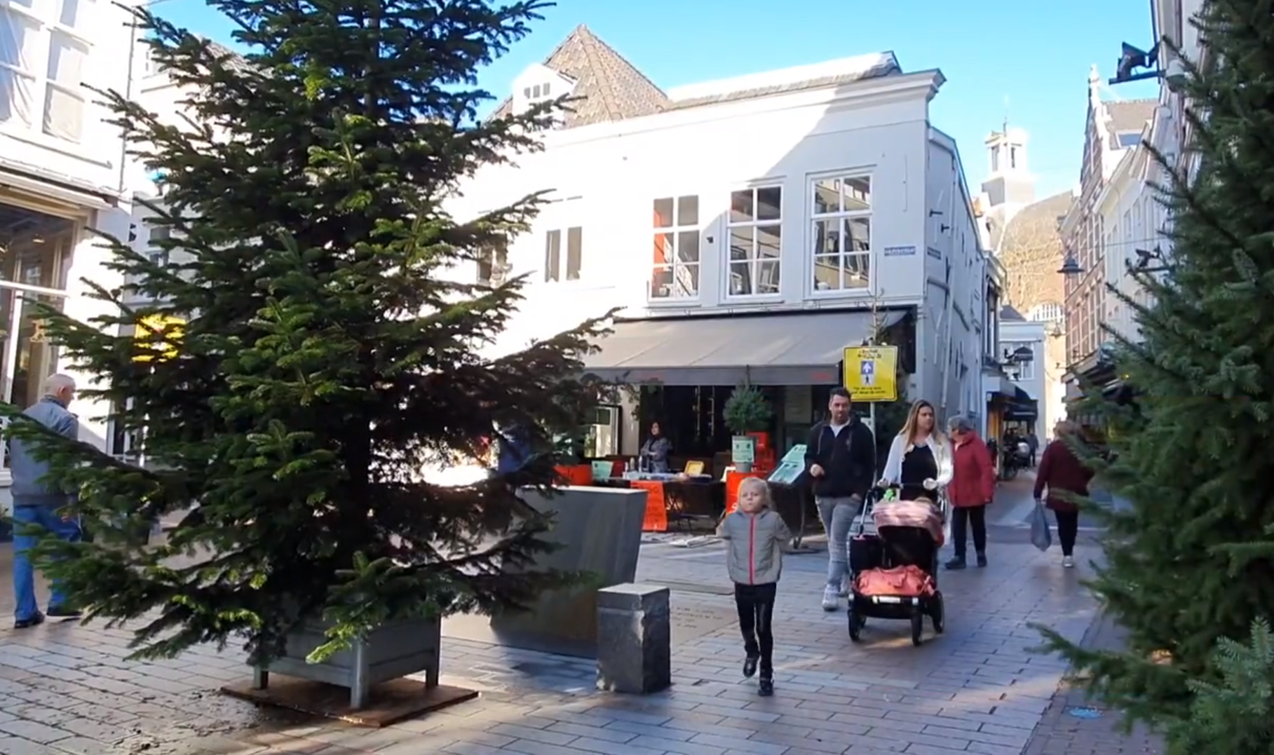 kerstboom inleveren den bosch