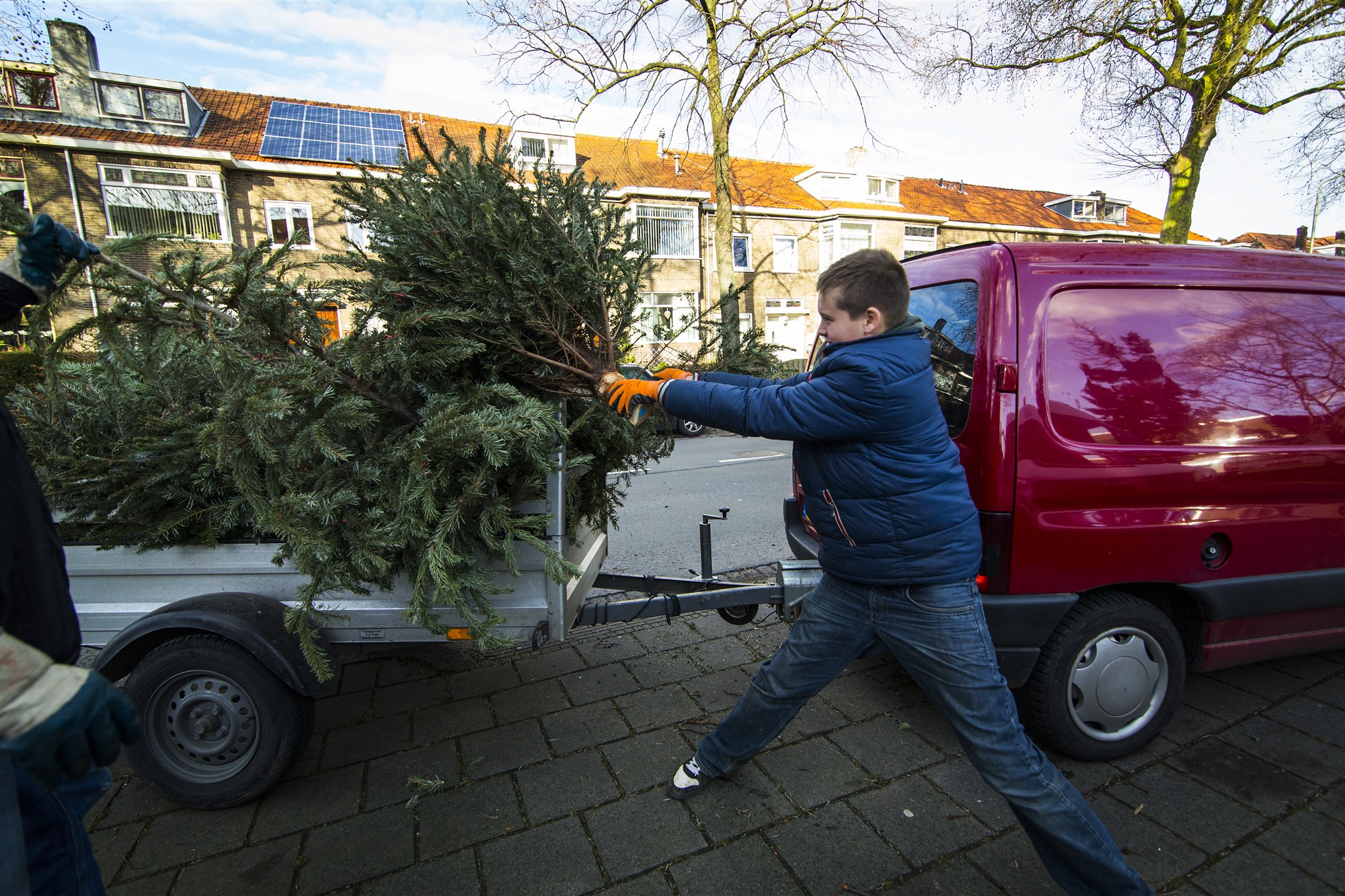 Kerstboom inleveren in Den Bosch (2021) dit moet je weten
