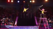 Wintercircus Pallasso