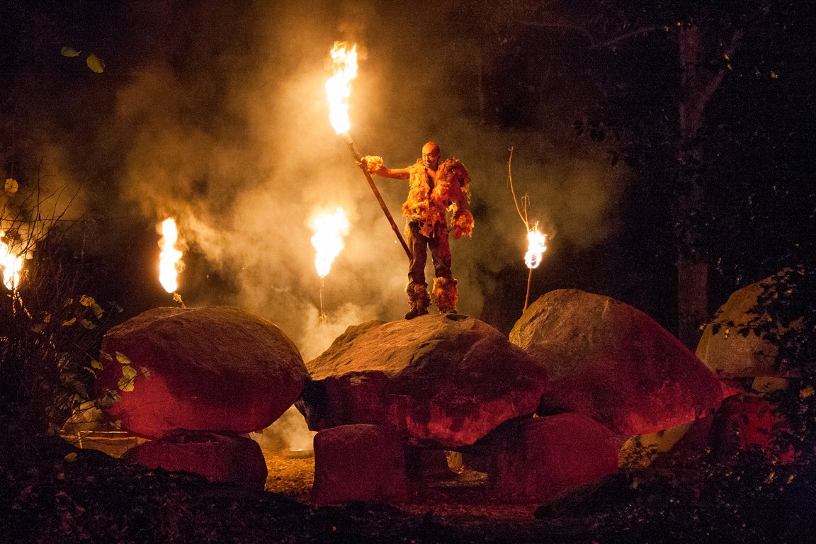 Nacht van de Nacht: deze activiteiten kun je doen nabij Den Bosch