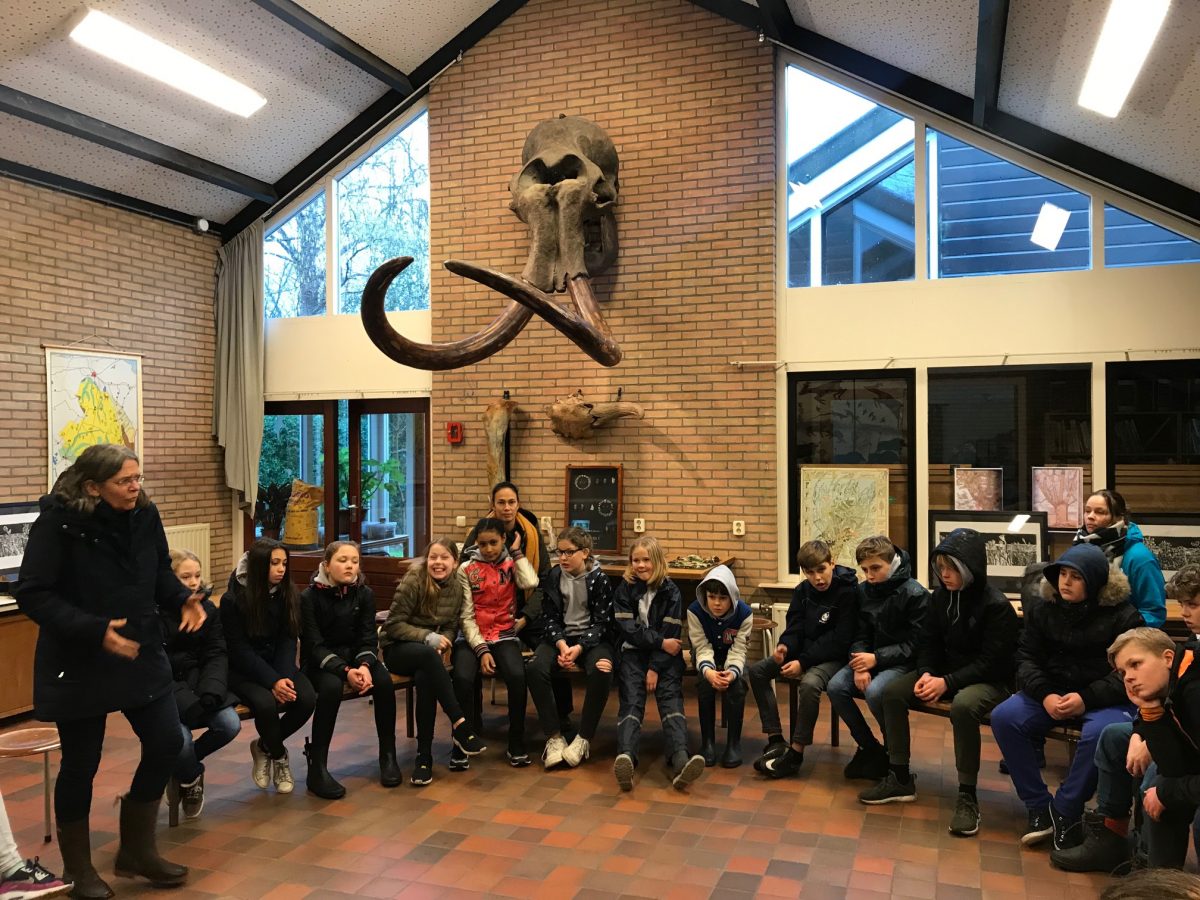 Waarom gaan alle Haagse schoolkinderen naar Wilhelminaoord?