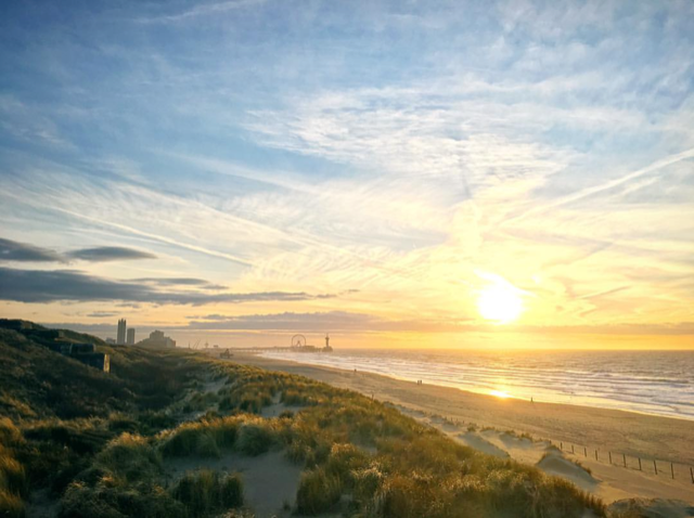 Schevenings zand behoort bij 't beste van de wereld: 'Erop liggen is goed voor de huid' - indebuurt