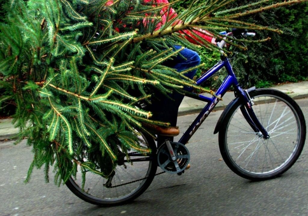 Dit moet je weten over het ophalen en inleveren van kerstbomen in