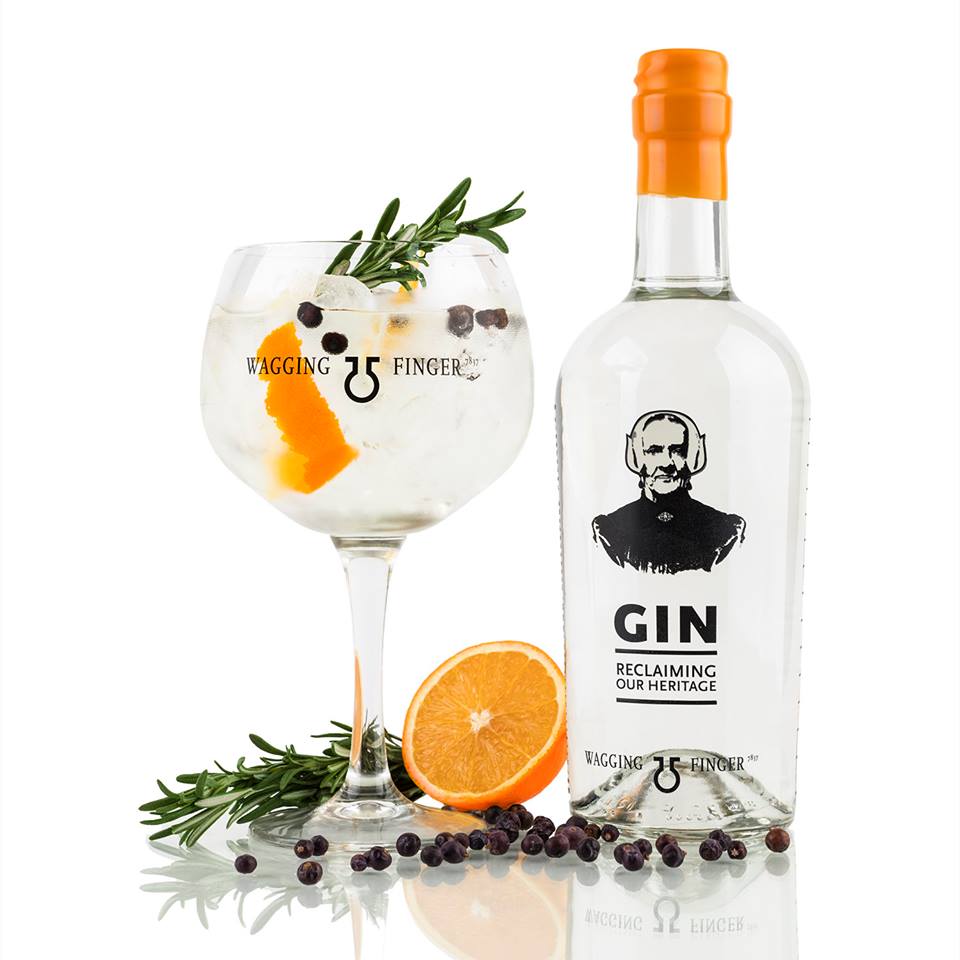 wagging-finger-gin